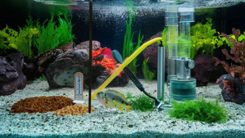 Jak poprawnie ustawić filtr Aquael w akwarium?